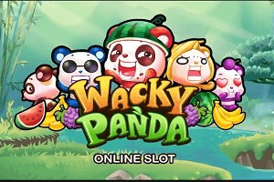 Wacky Panda Slot: Common Mistakes Players Make in Free Play Mode